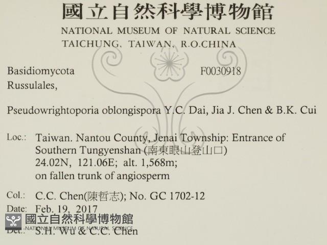 登錄號:F0030918藏品圖，第2張