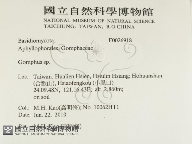 登錄號:F0026918藏品圖，第2張