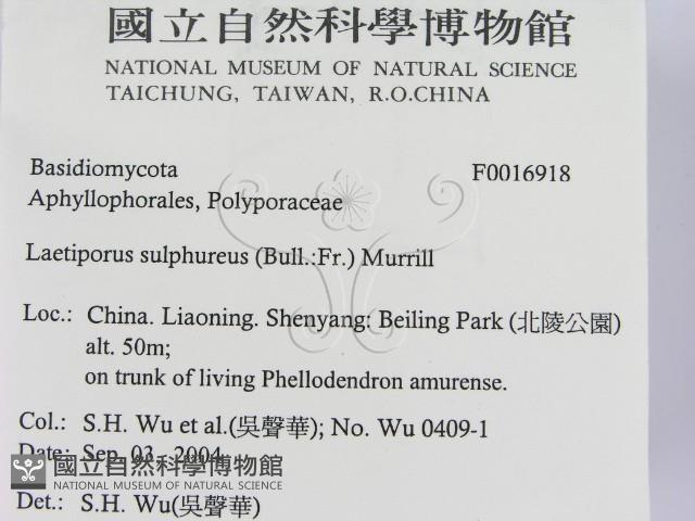 登錄號:F0016918藏品圖，第2張