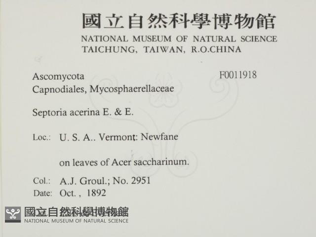 登錄號:F0011918藏品圖，第2張