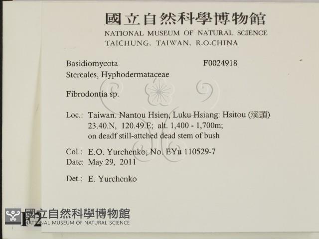 館號:F0024918藏品圖，第2張