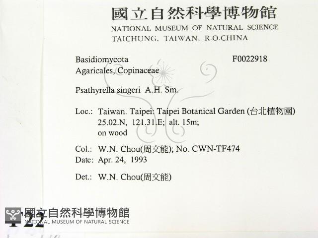 登錄號:F0022918藏品圖，第2張