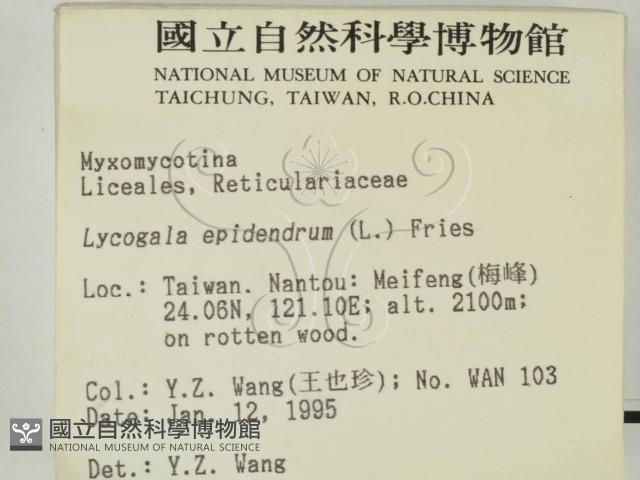 登錄號:F0002918藏品圖，第2張