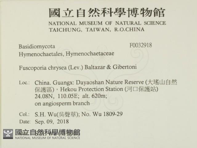 登錄號:F0032918藏品圖，第2張