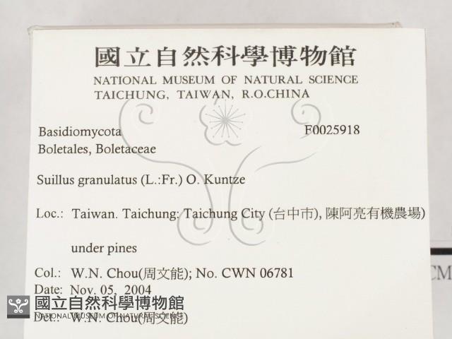 登錄號:F0025918藏品圖，第2張