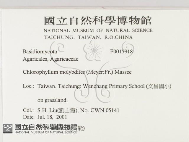 登錄號:F0015918藏品圖，第2張