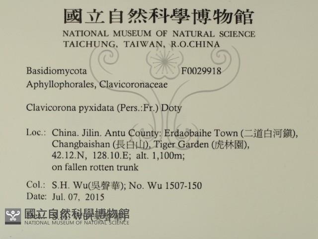 登錄號:F0029918藏品圖，第2張