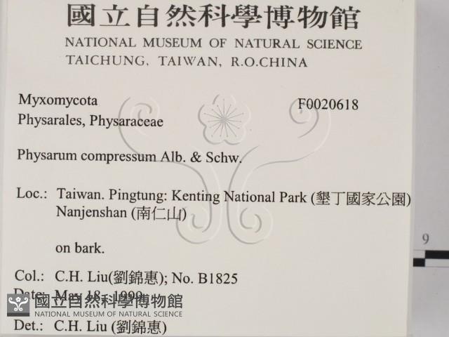 登錄號:F0020618藏品圖，第2張