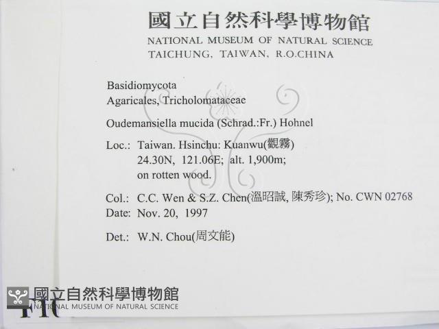 登錄號:F0010618藏品圖，第2張