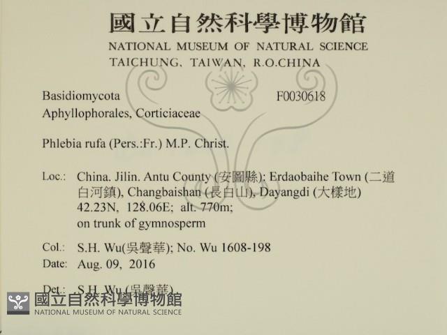 登錄號:F0030618藏品圖，第2張