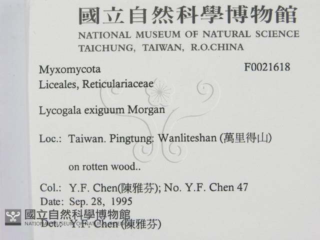 登錄號:F0021618藏品圖，第2張