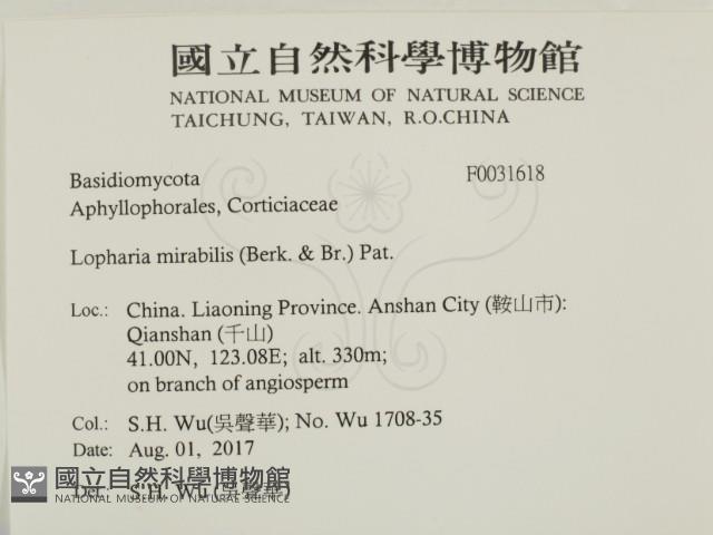 登錄號:F0031618藏品圖，第2張