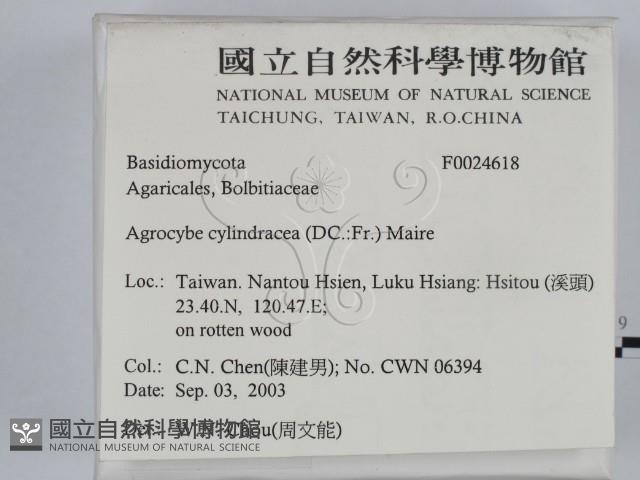 登錄號:F0024618藏品圖，第2張