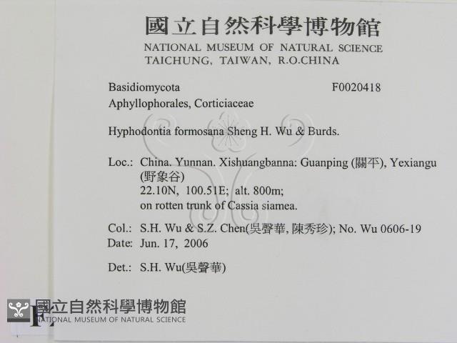 登錄號:F0020418藏品圖，第2張