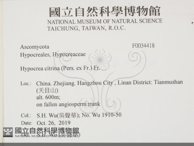 登錄號:F0034418藏品圖，第2張