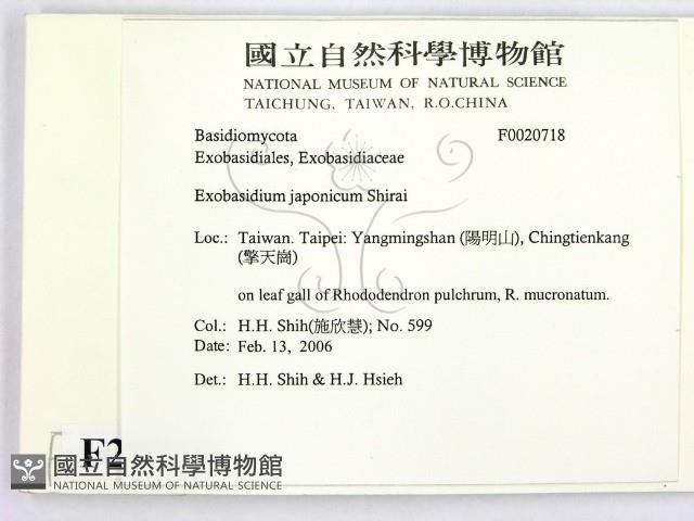 登錄號:F0020718藏品圖，第2張
