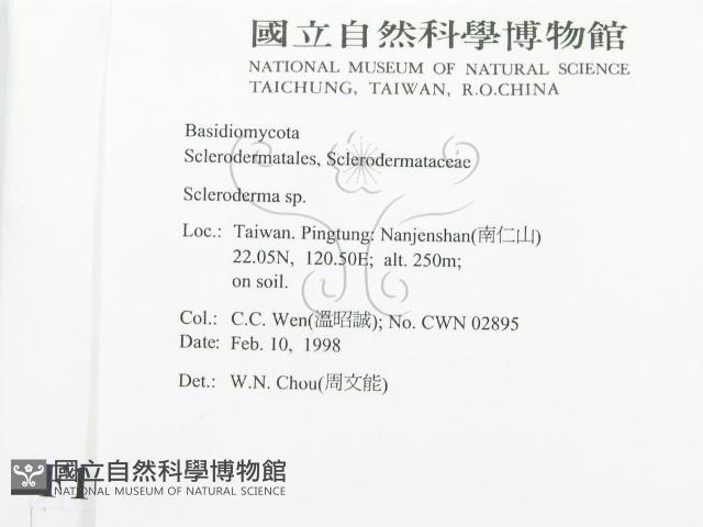 登錄號:F0010718藏品圖，第2張