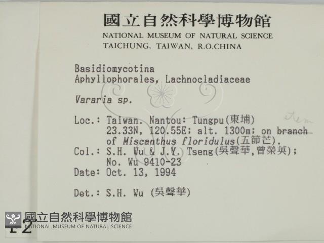登錄號:F0002718藏品圖，第2張