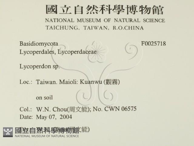 登錄號:F0025718藏品圖，第2張