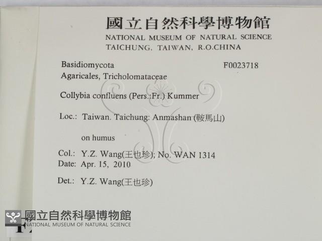 登錄號:F0023718藏品圖，第2張