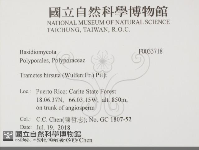 登錄號:F0033718藏品圖，第2張