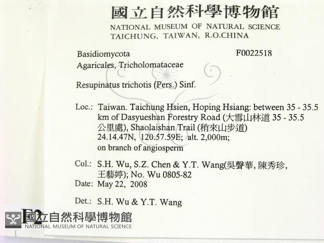 登錄號:F0022518藏品圖，第2張