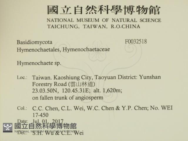 刺革菌屬藏品圖，第2張