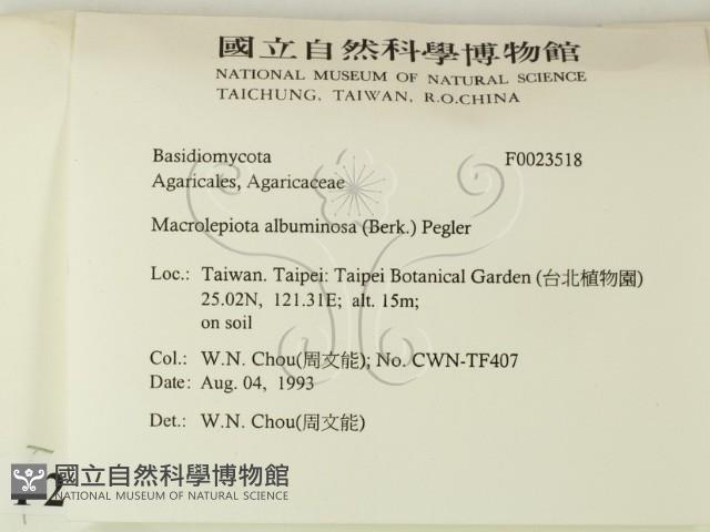 登錄號:F0023518藏品圖，第2張