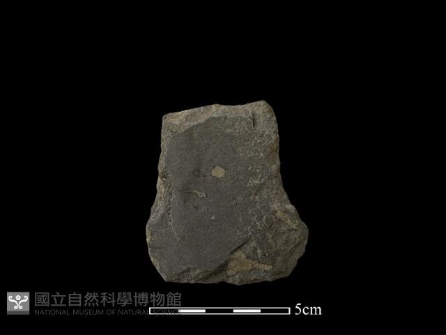 磨製斧鋤形器藏品圖，第1張