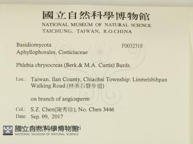 登錄號:F0032318藏品圖，第2張