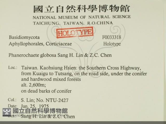 登錄號:F0033318藏品圖，第2張