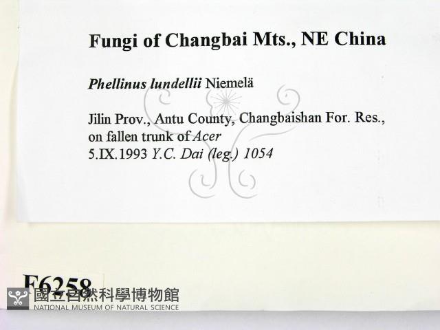 登錄號:F0006258藏品圖，第2張