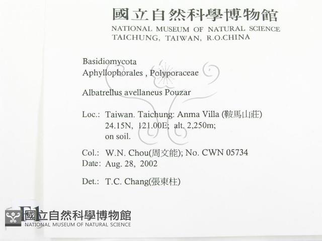 登錄號:F0016258藏品圖，第2張