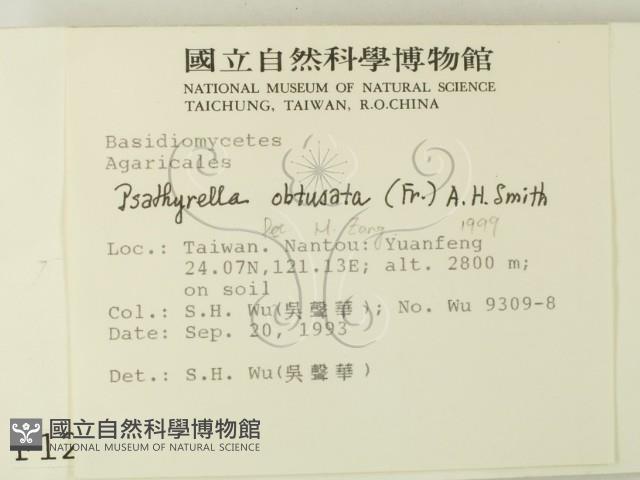 登錄號:F0001258藏品圖，第2張