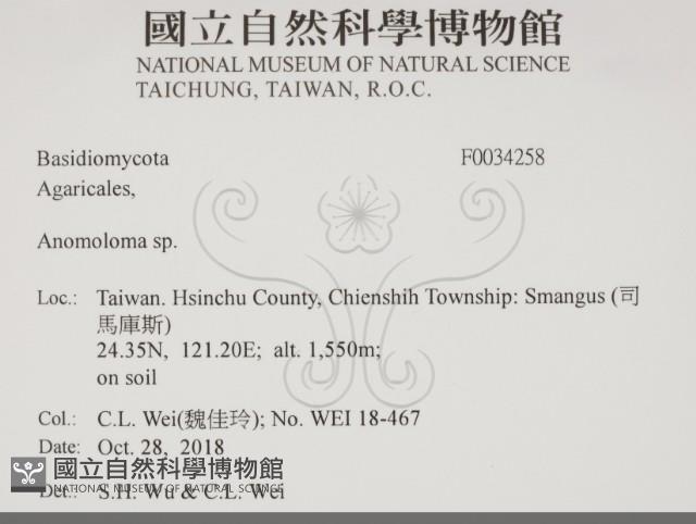 登錄號:F0034258藏品圖，第2張