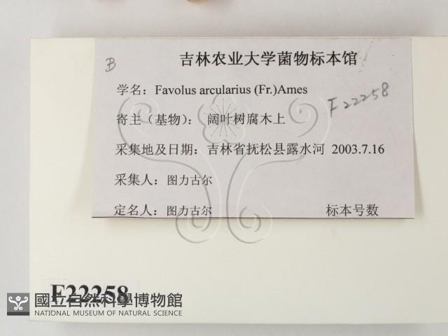 登錄號:F0022258藏品圖，第2張