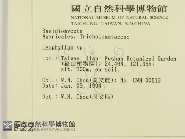 登錄號:F0002258藏品圖，第2張