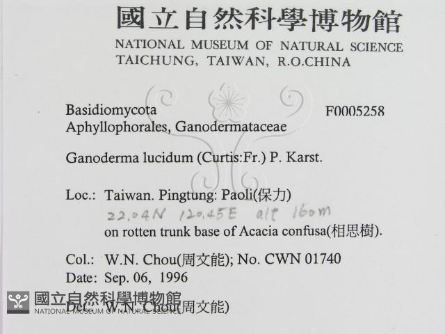 登錄號:F0005258藏品圖，第2張