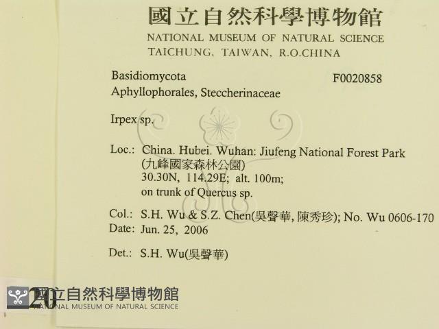登錄號:F0020858藏品圖，第2張