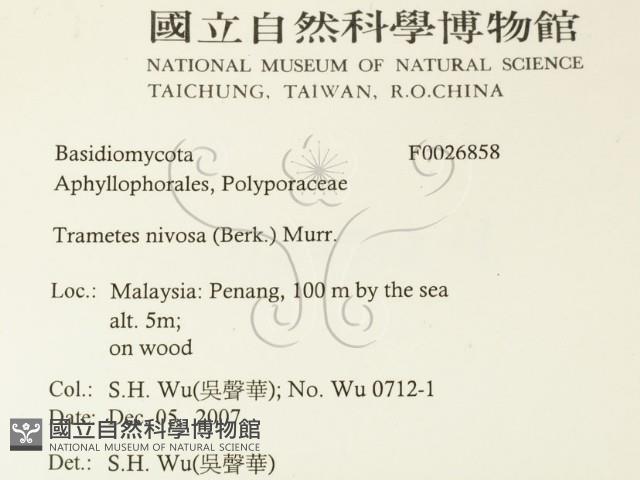 登錄號:F0026858藏品圖，第2張