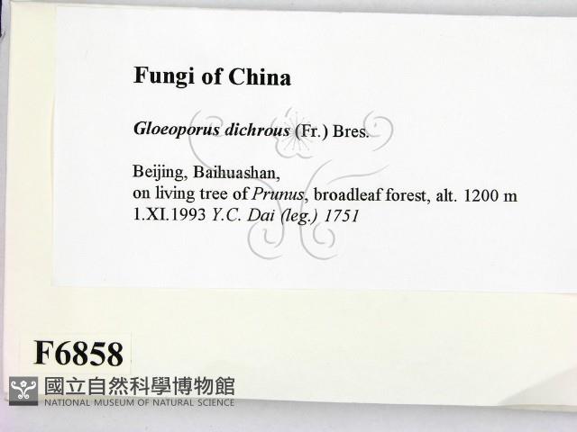 登錄號:F0006858藏品圖，第2張