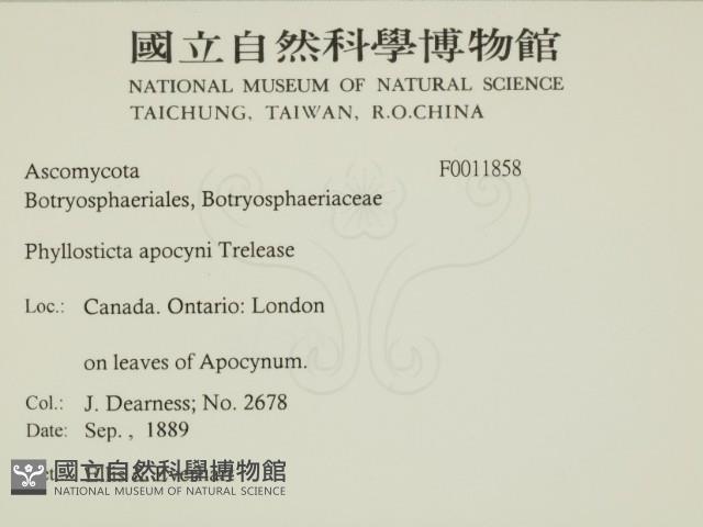 登錄號:F0011858藏品圖，第2張
