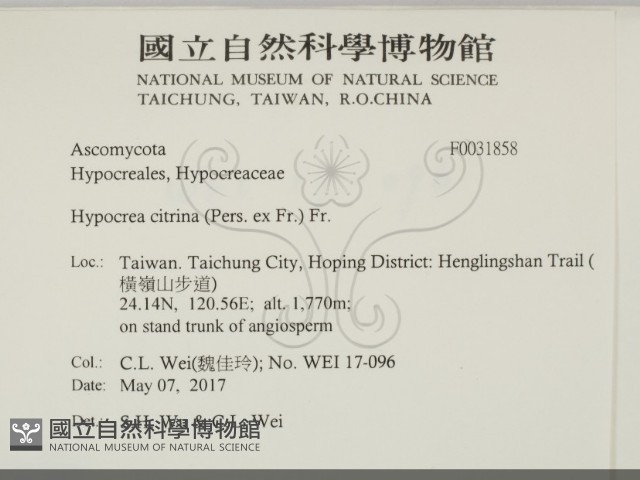 登錄號:F0031858藏品圖，第2張