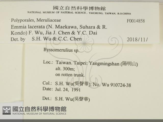 登錄號:F0014858藏品圖，第2張