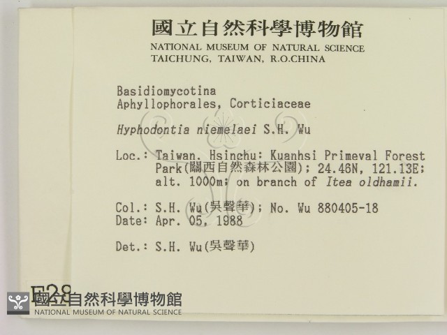 登錄號:F0002858藏品圖，第2張