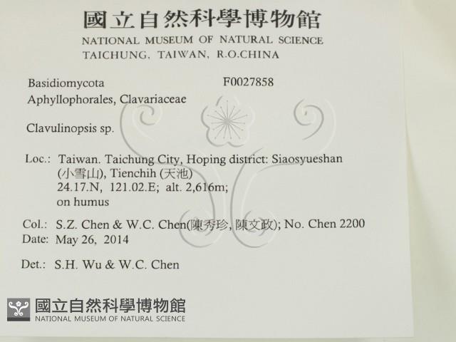 登錄號:F0027858藏品圖，第2張