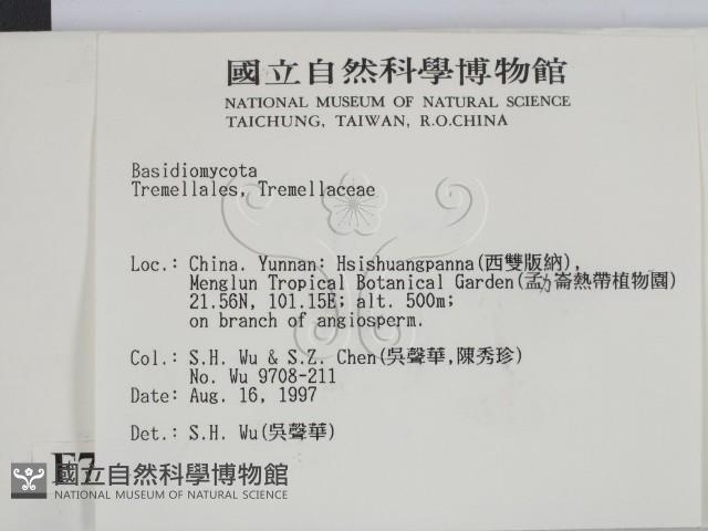 登錄號:F0007858藏品圖，第2張