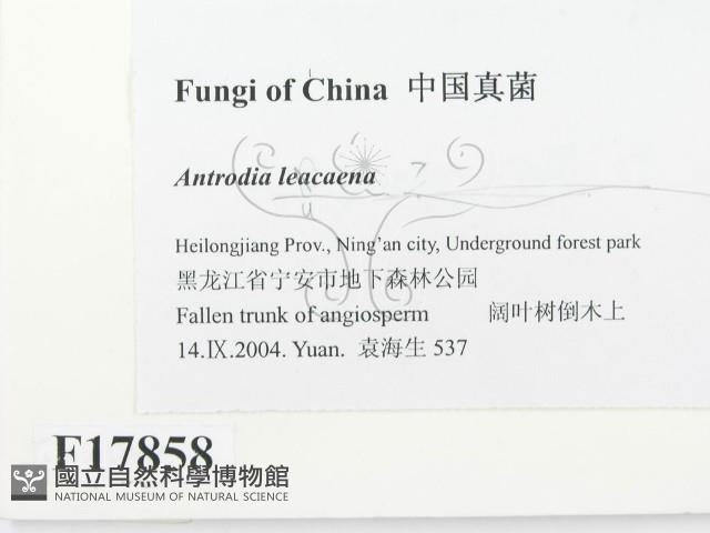 登錄號:F0017858藏品圖，第2張