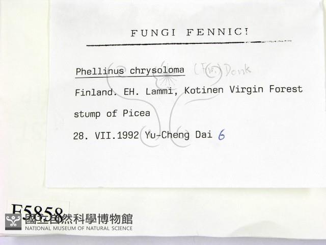 登錄號:F0005858藏品圖，第2張