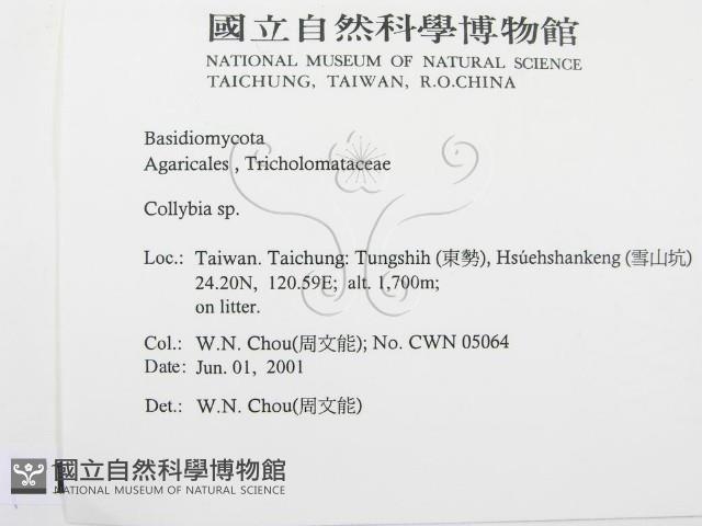登錄號:F0015858藏品圖，第2張